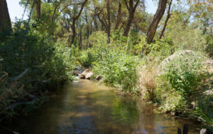 Baker Creek, California