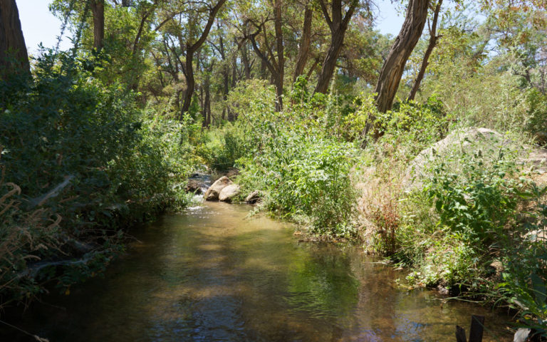 Baker Creek