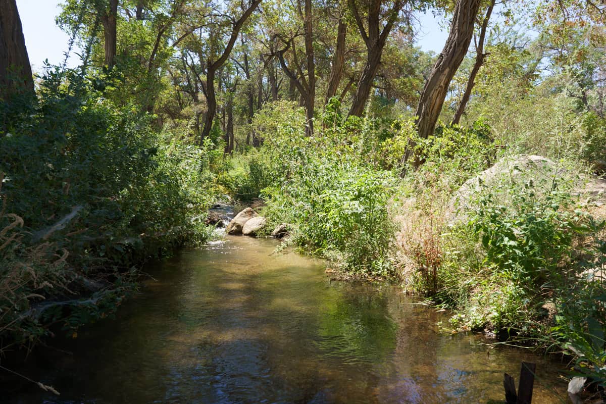 Baker Creek, California