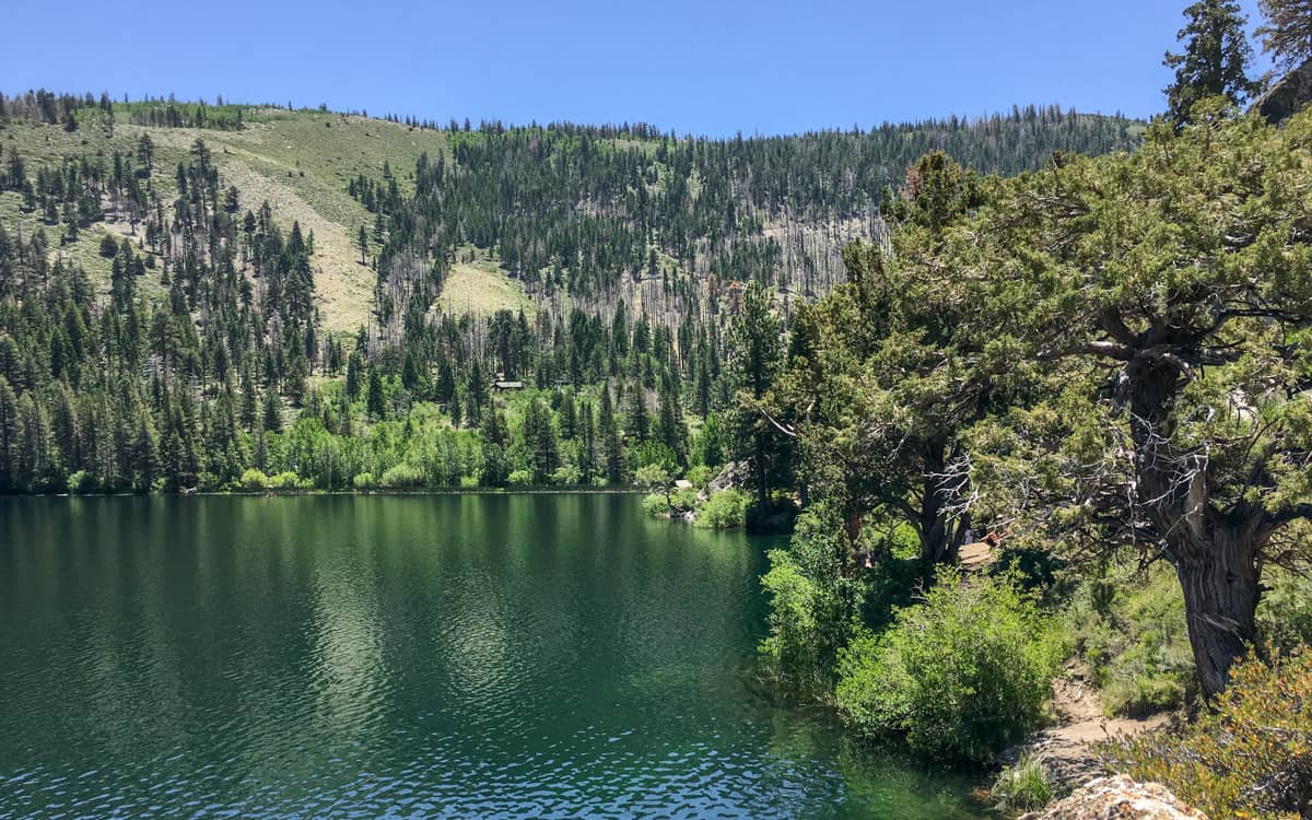 Gull Lake, California