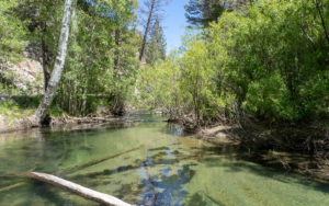 Lee Vining Creek, California