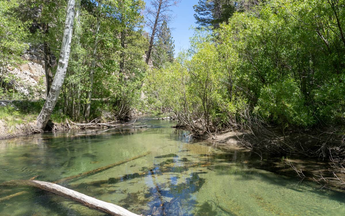 Lee Vining Creek Fishing - Lee Vining, California - 395 Guide