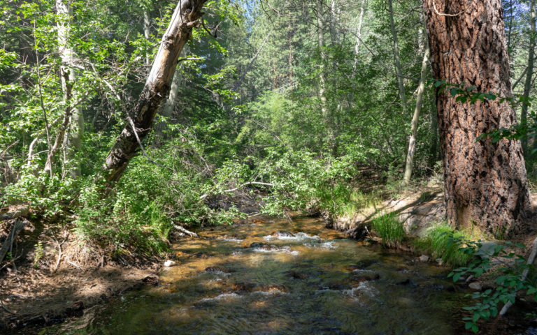 Sherwin Creek