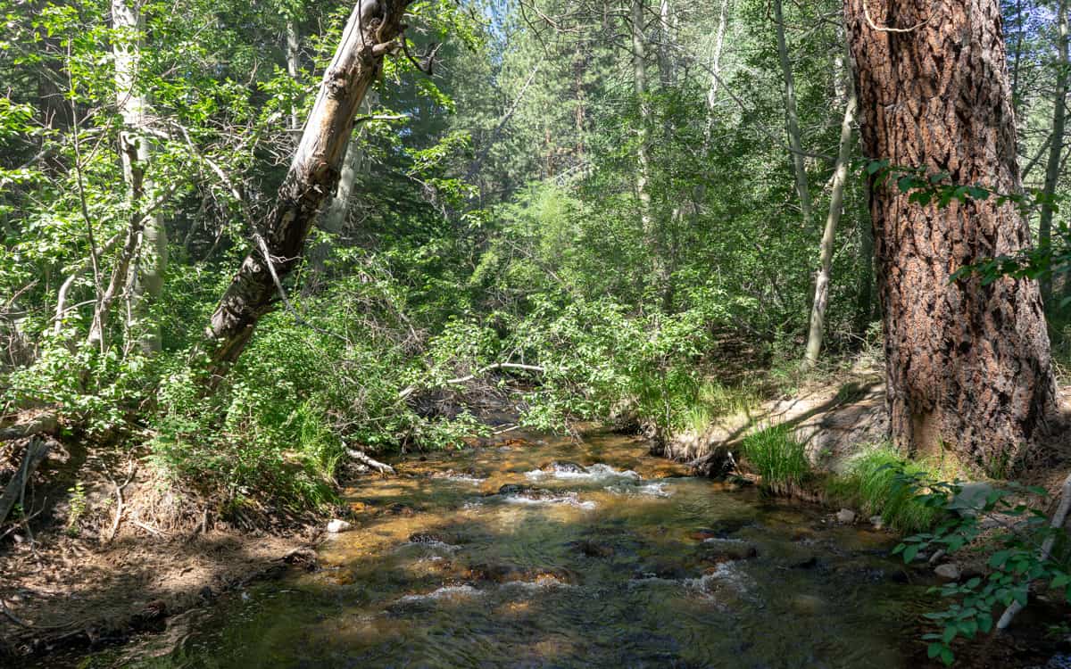 Sherwin Creek, California