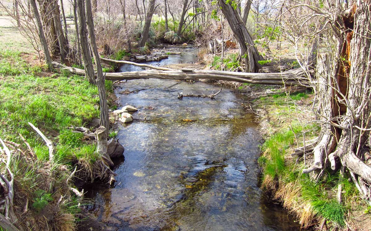 Tinnemaha Creek