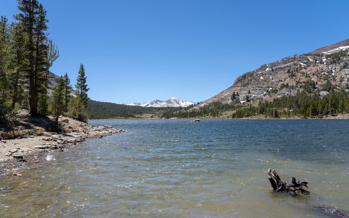 Tioga Lake, California