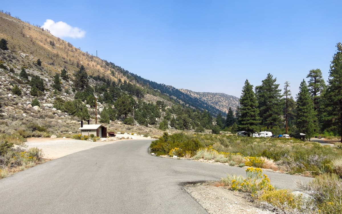 Big Trees Campground, California