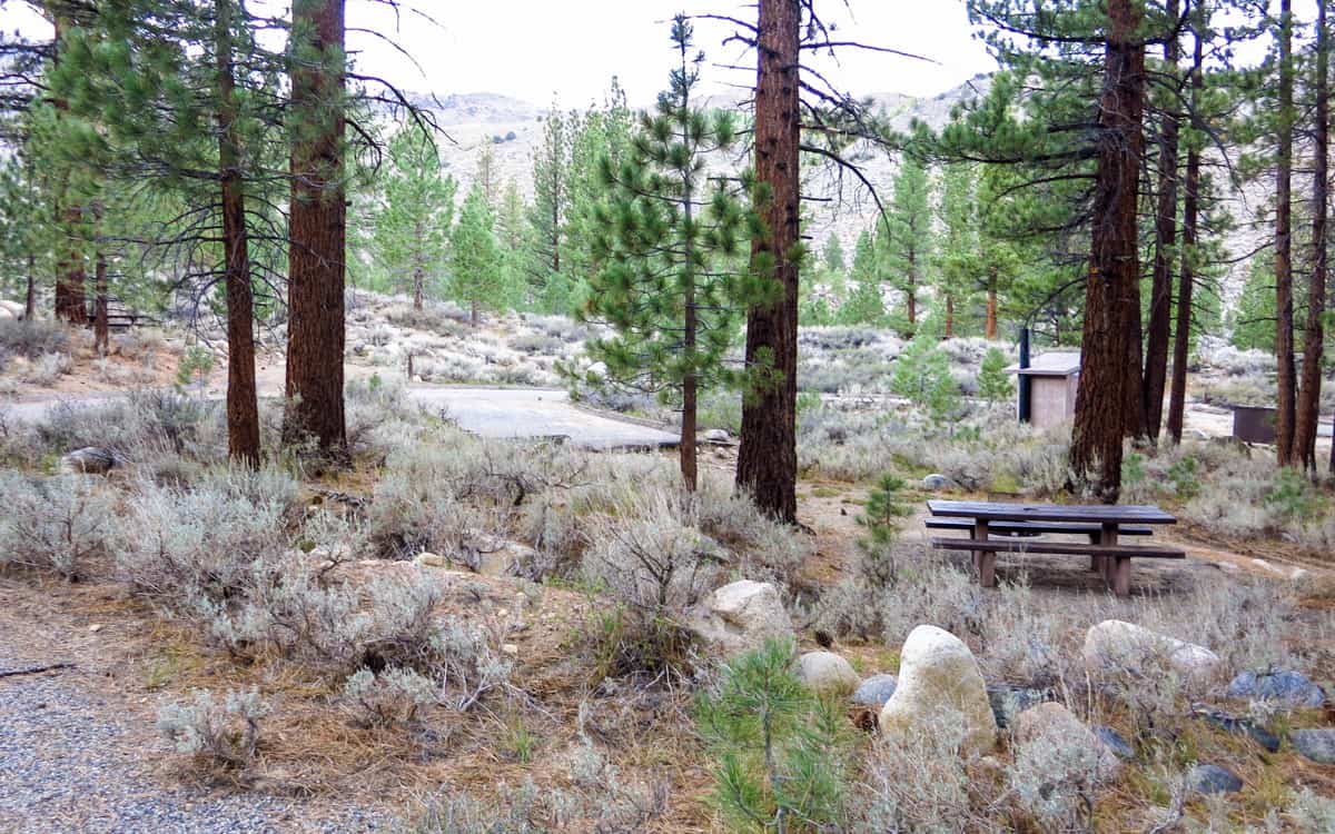 Buckeye Campground, California