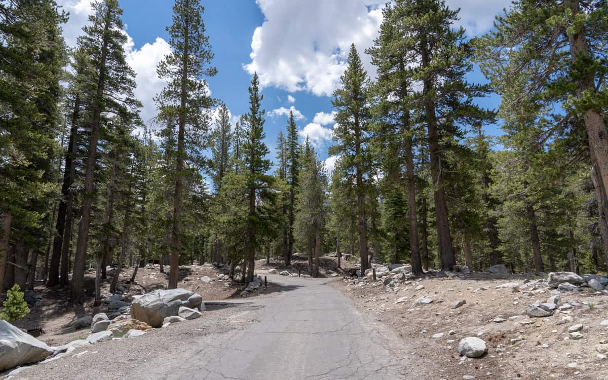 Coldwater Campground, California