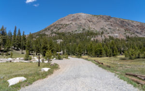Junction Campground, California