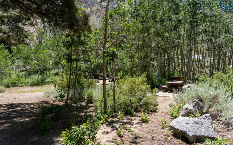 Lower Intake 2 Campground