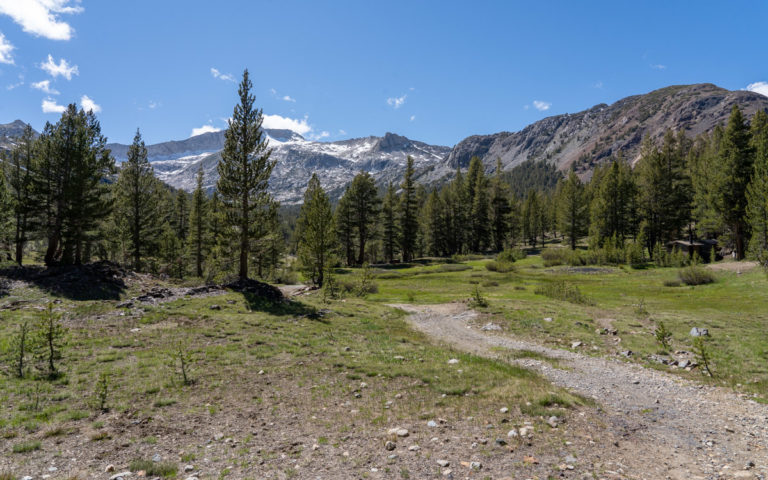 Sawmill Walk-in Campground