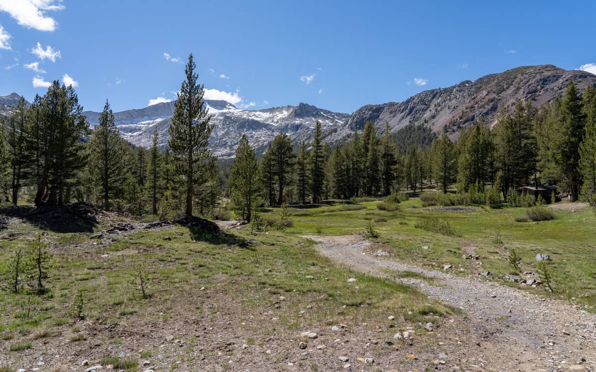 Sawmill Walk-in Campground, California