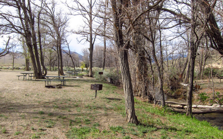 Tinnemaha Creek Campground