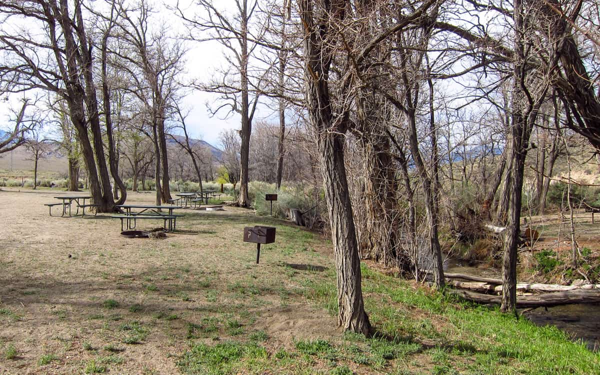 Tinnemaha Creek Campground, California