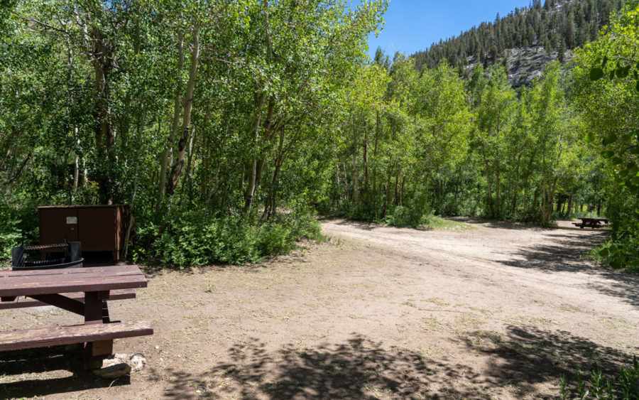 Willow Campground California 395 Guide