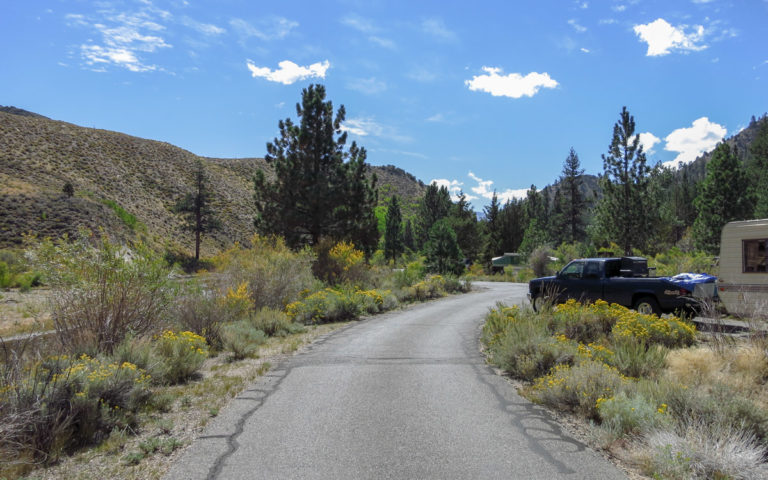 Chris Flat Campground