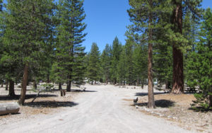 Glass Creek Campground, California