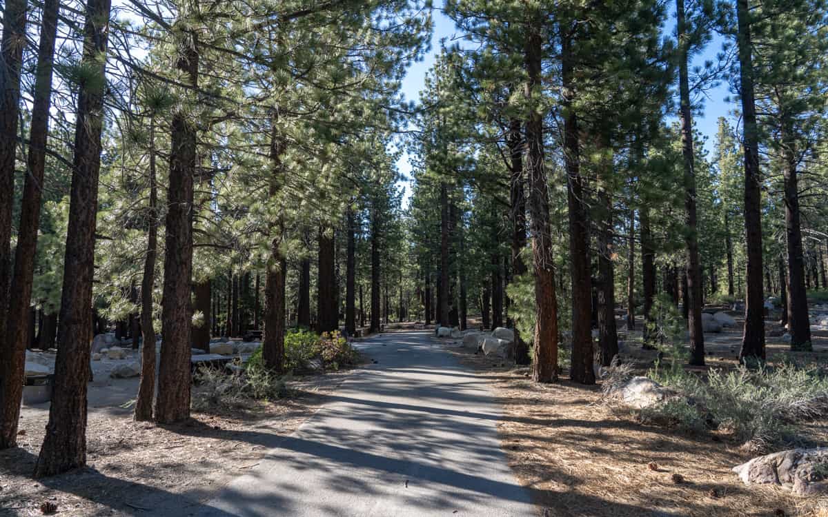 New Shady Rest Campground, California