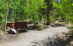 Reversed Creek Campground, California