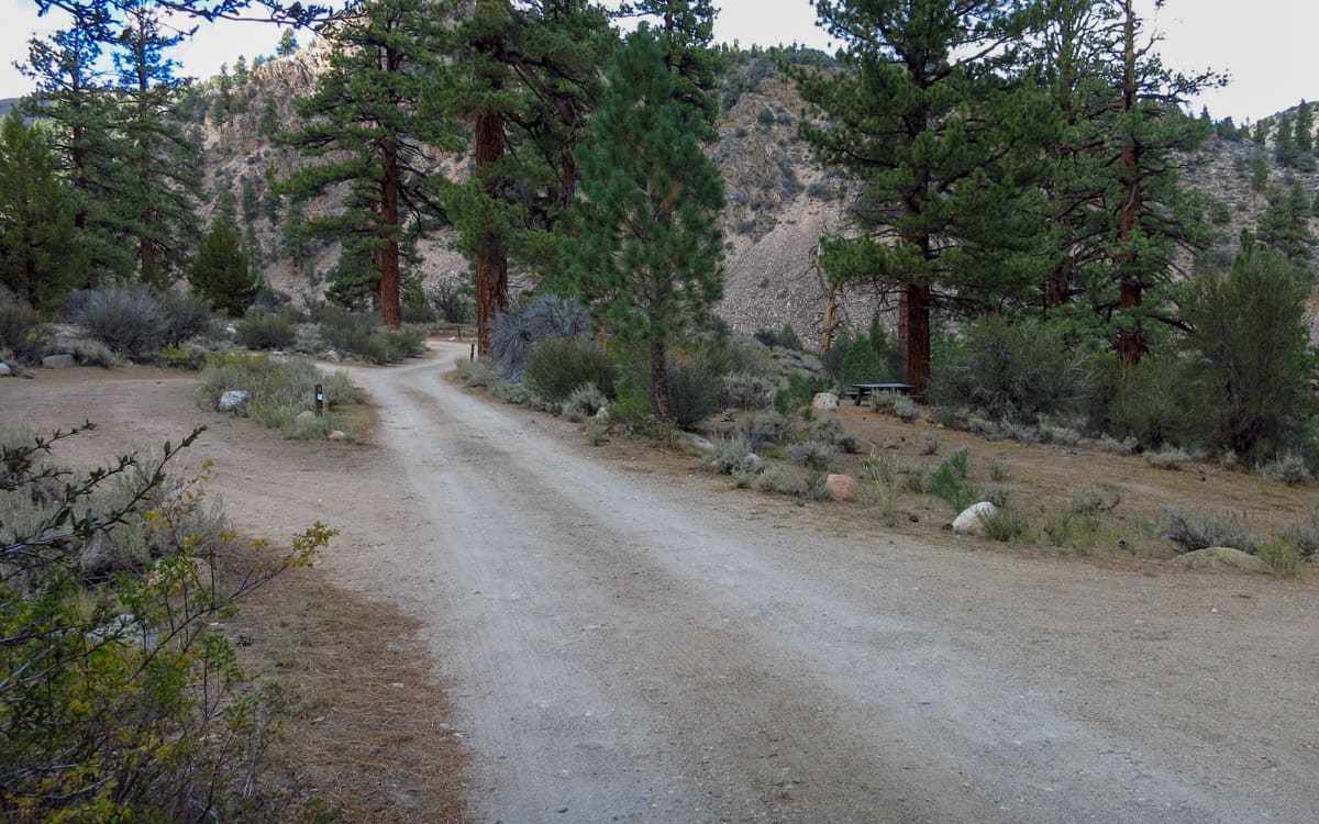 Sonora Bridge Campground, California