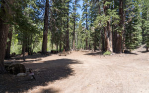 Agnew Meadows Group Campground, California