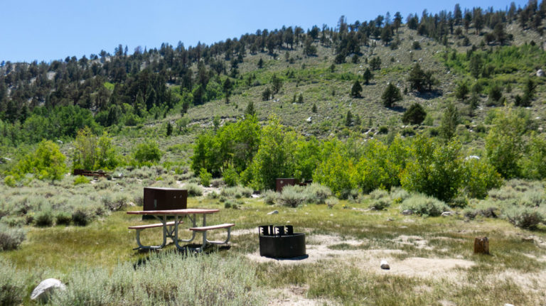 East Fork Campground