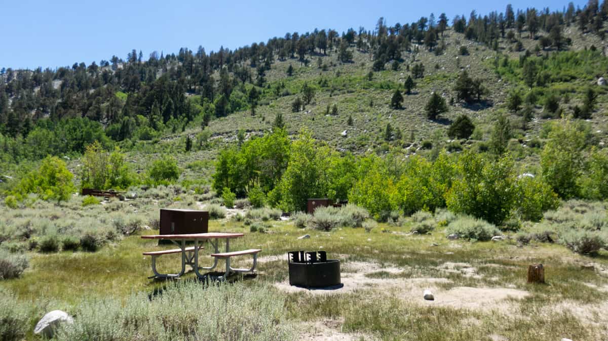 East Fork Campground, California