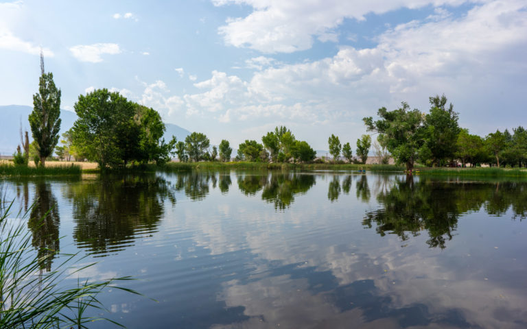 Millpond Recreation Area