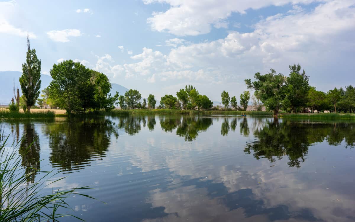 Millpond Recreation Area, California