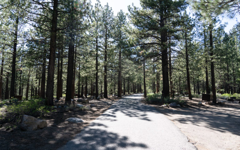 Pine Glen Campground
