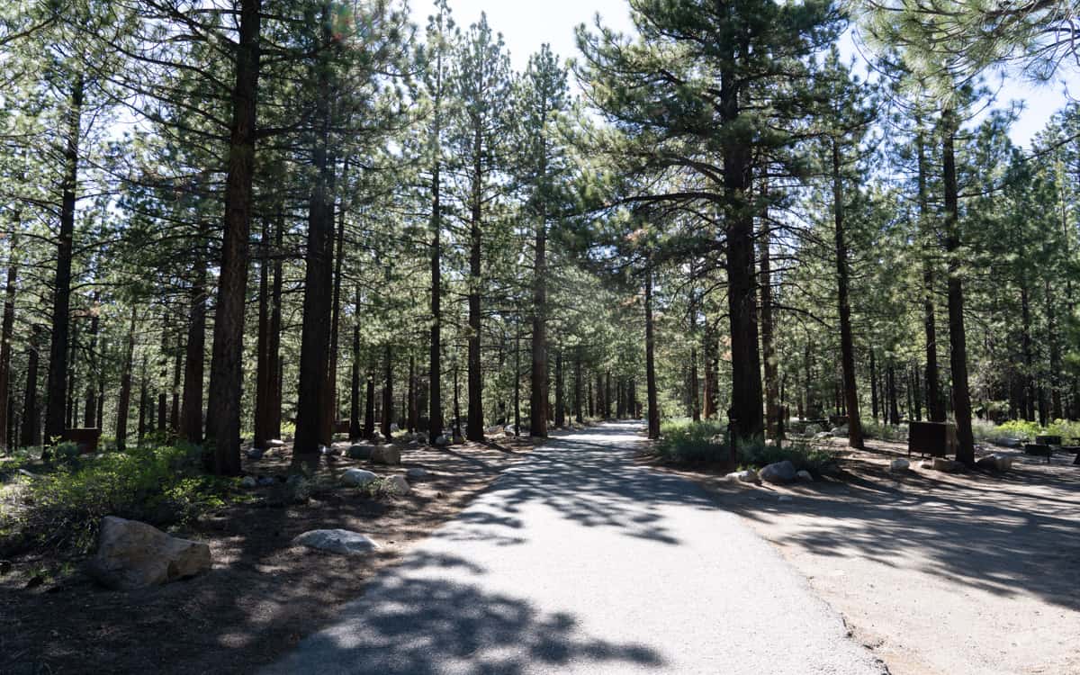 Pine Glen Campground, California